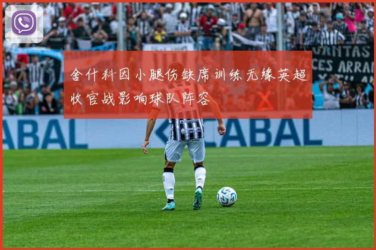 舍什科因小腿伤缺席训练无缘英超收官战影响球队阵容