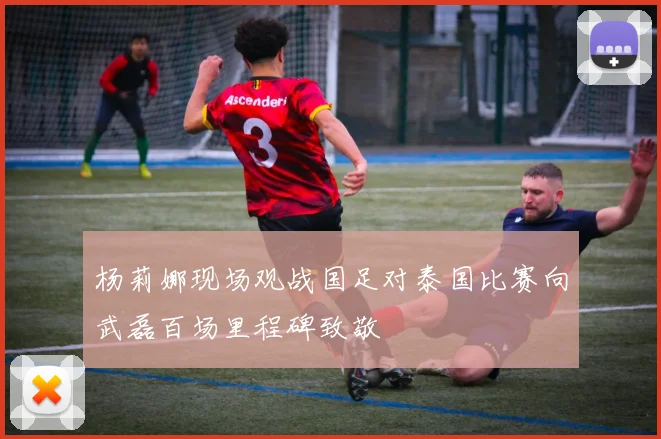 杨莉娜现场观战国足对泰国比赛向武磊百场里程碑致敬